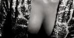 Dcollet 2